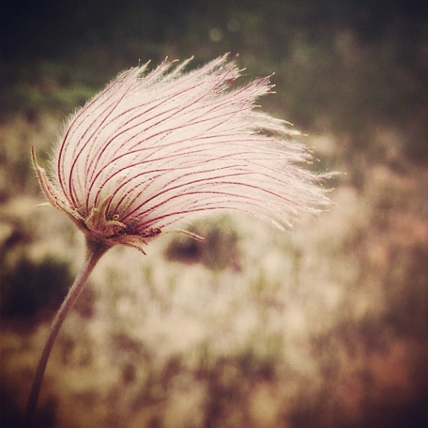 (c) Poeticaesthetic